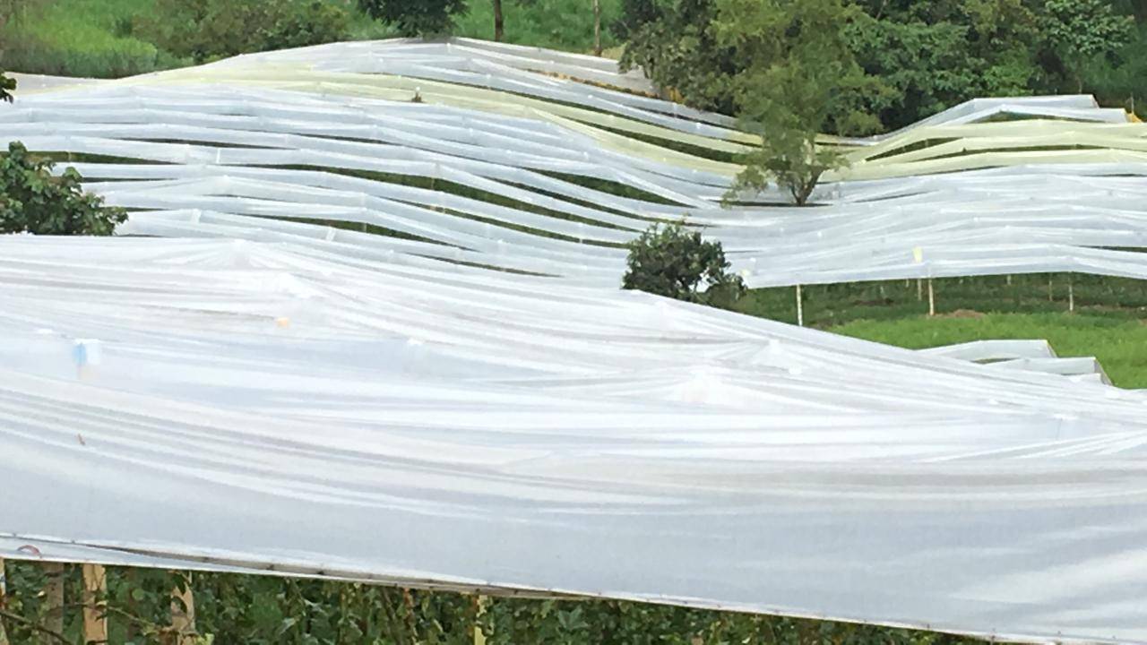 PHOTO-2019-04-12-16-54-53|PHOTO-2019-04-11-09-09-49